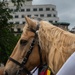 Marine Corps Mounted Color Guard East Coast Tour