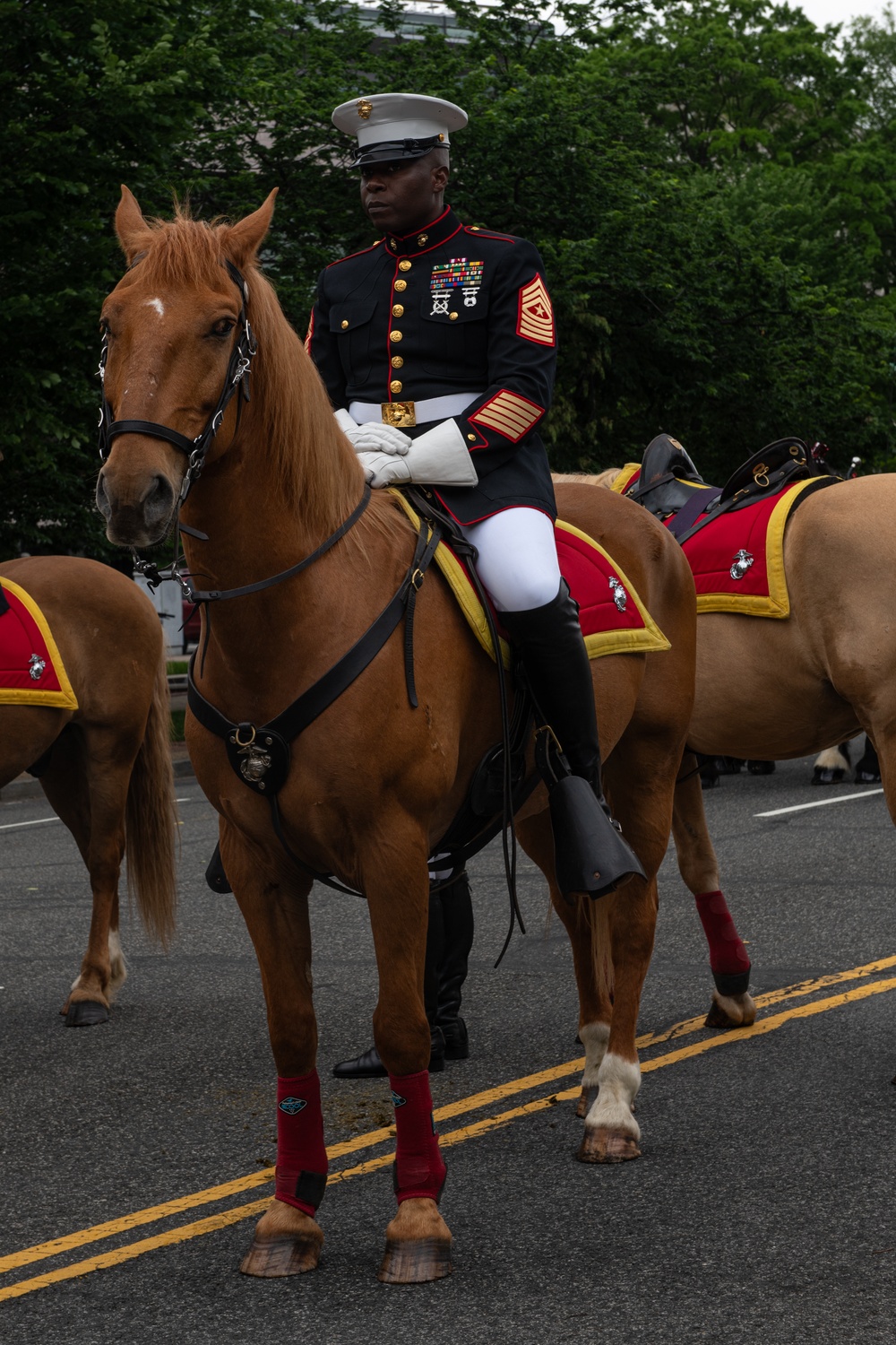 Marine Corps Mounted Color Guard East Coast Tour