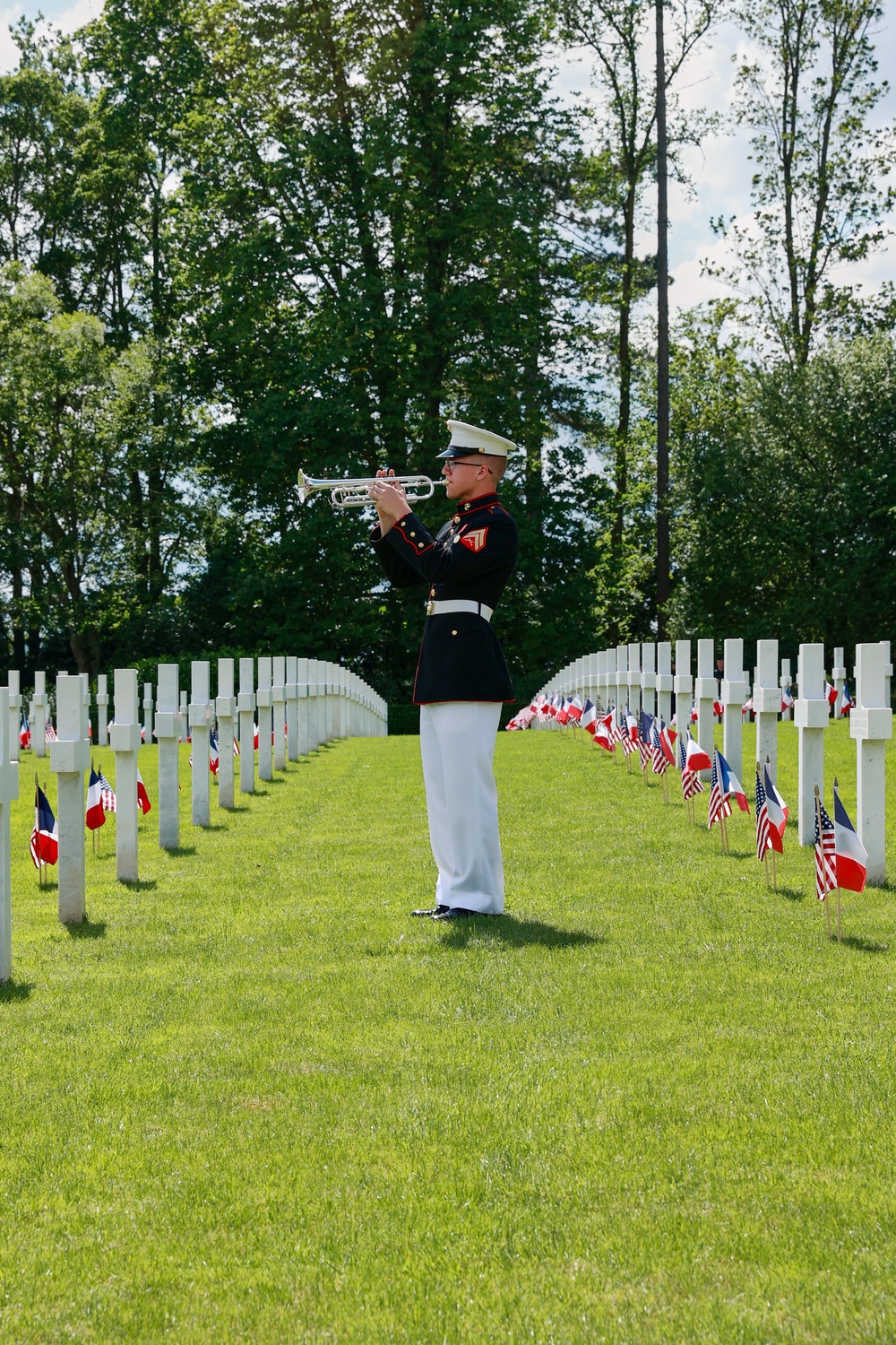 Belleau Wood 2024