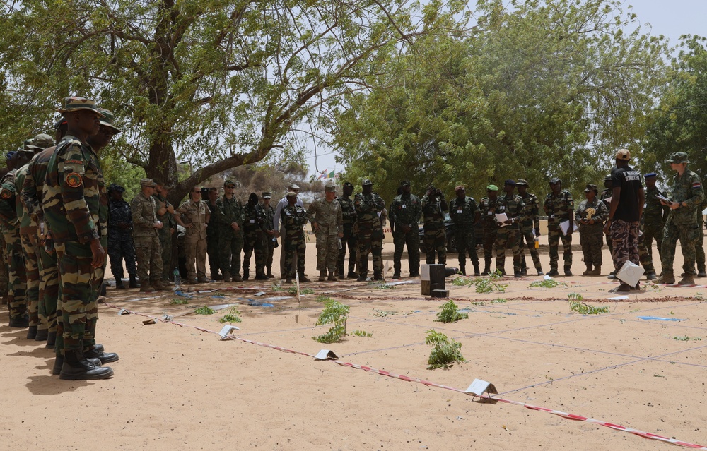 Senegal hosts African Lion 2024 distinguished visitor day