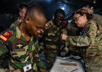 Stitching together: Senegal, US host surgical training with partners