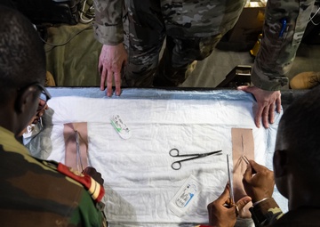 Stitching together: Senegal, US host surgical training with partners