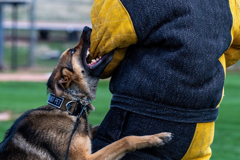 10th SFS Military Working Dog Section’s Front Range K9 Competition