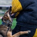 10th SFS Military Working Dog Section’s Front Range K9 Competition