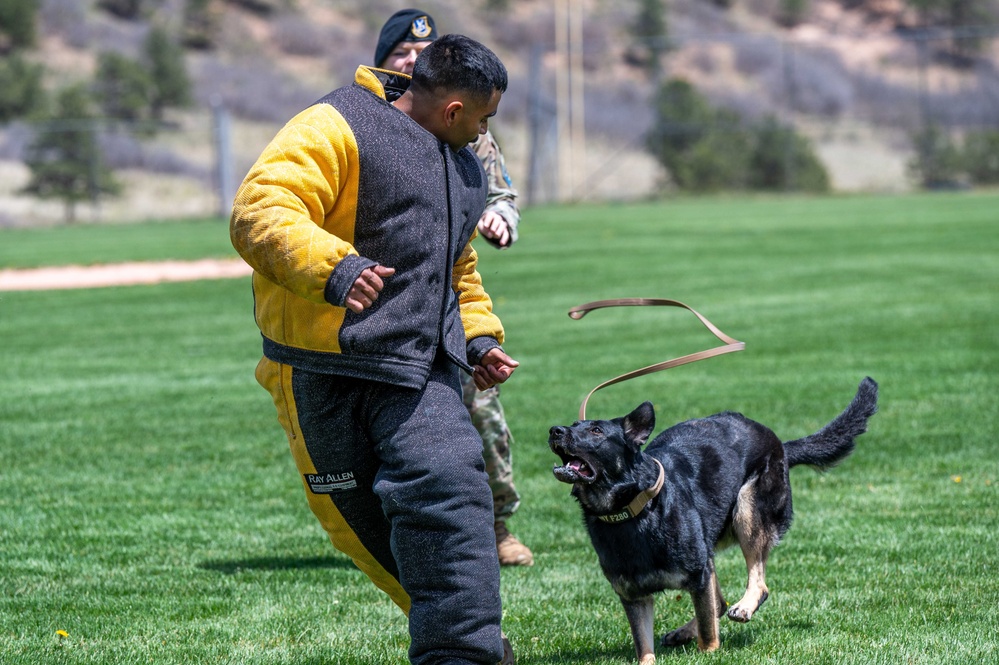 10th SFS Military Working Dog Section’s Front Range K9 Competition