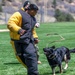 10th SFS Military Working Dog Section’s Front Range K9 Competition