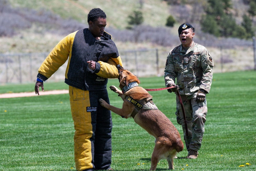 10th SFS Military Working Dog Section’s Front Range K9 Competition