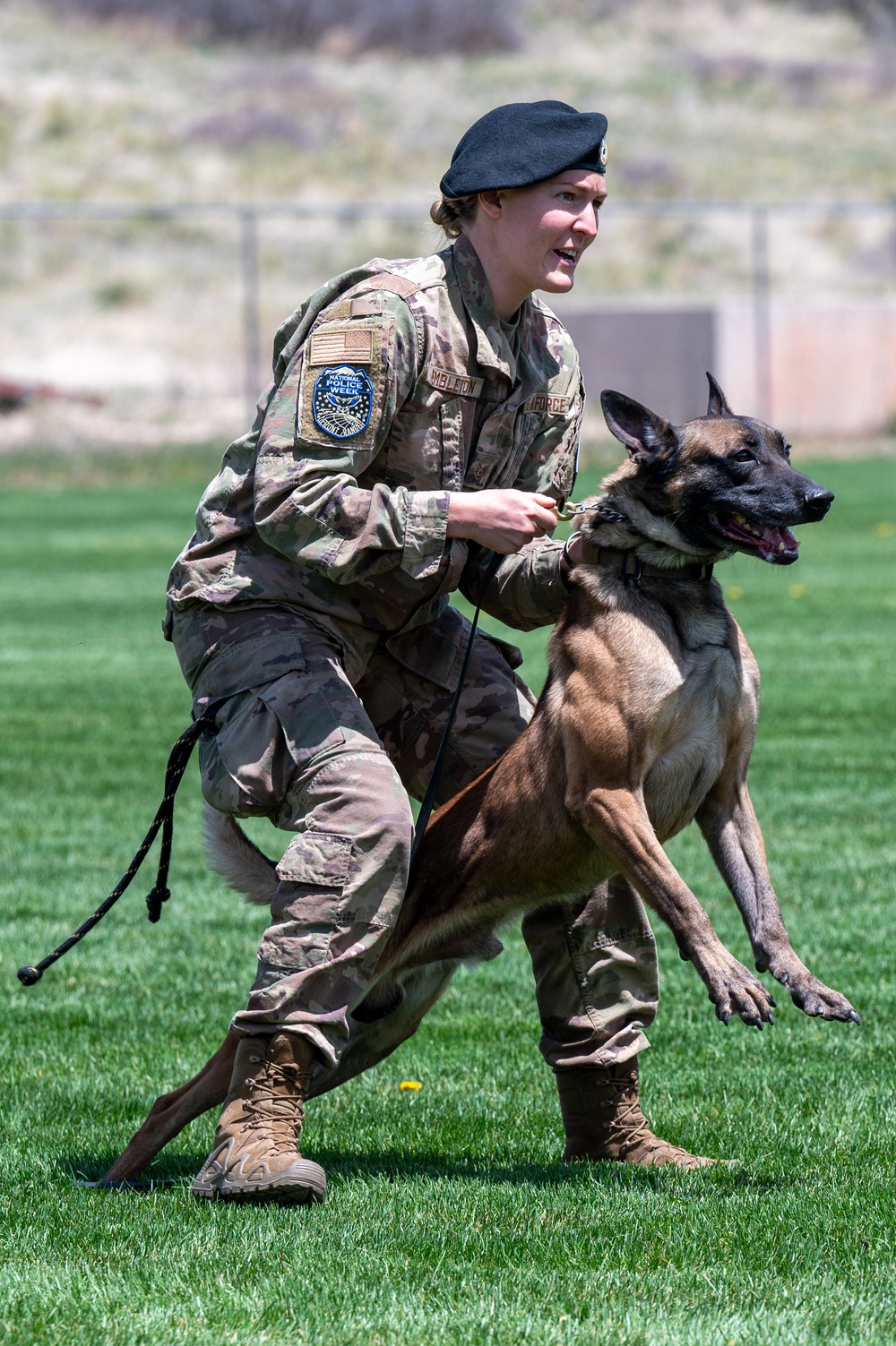 10th SFS Military Working Dog Section’s Front Range K9 Competition