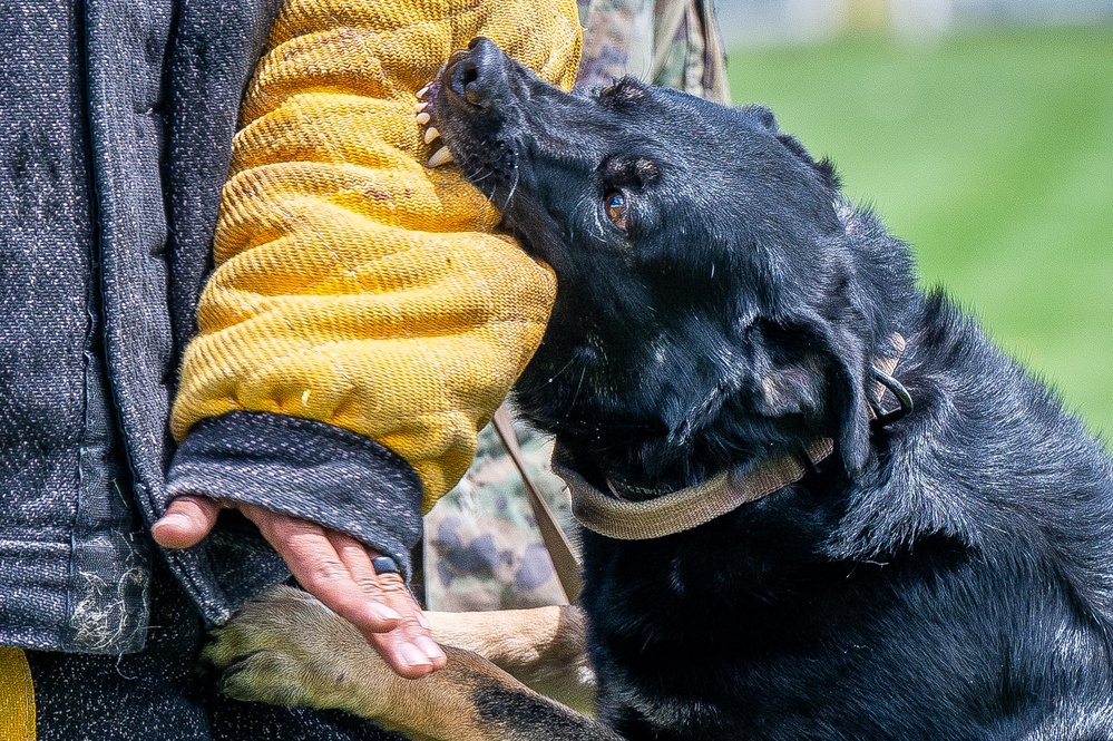 10th SFS Military Working Dog Section’s Front Range K9 Competition