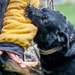 10th SFS Military Working Dog Section’s Front Range K9 Competition