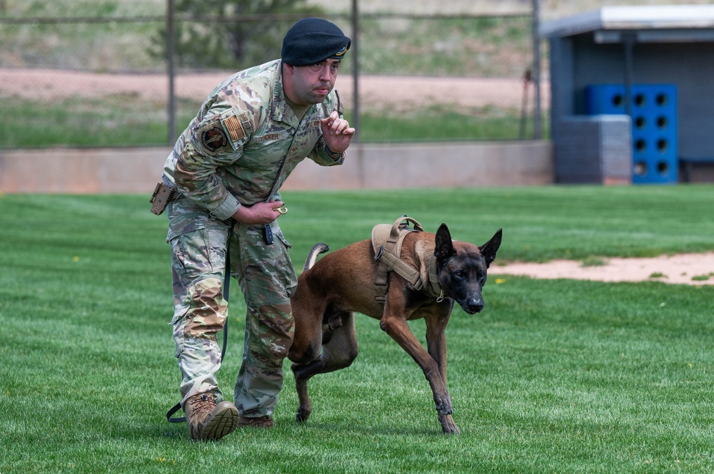 10th SFS Military Working Dog Section’s Front Range K9 Competition