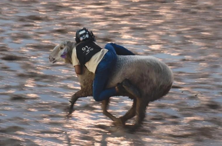 Killeen Rodeo saddles up for Military Appreciation Night