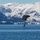 AKANG 176th Wing Rescue Triad conducts water rescue training in Alaska AKANG 176th Wing Rescue Triad conducts water rescue training in Alaska