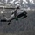 AKANG 176th Wing Rescue Triad conducts water rescue training in Alaska AKANG 176th Wing Rescue Triad conducts water rescue training in Alaska