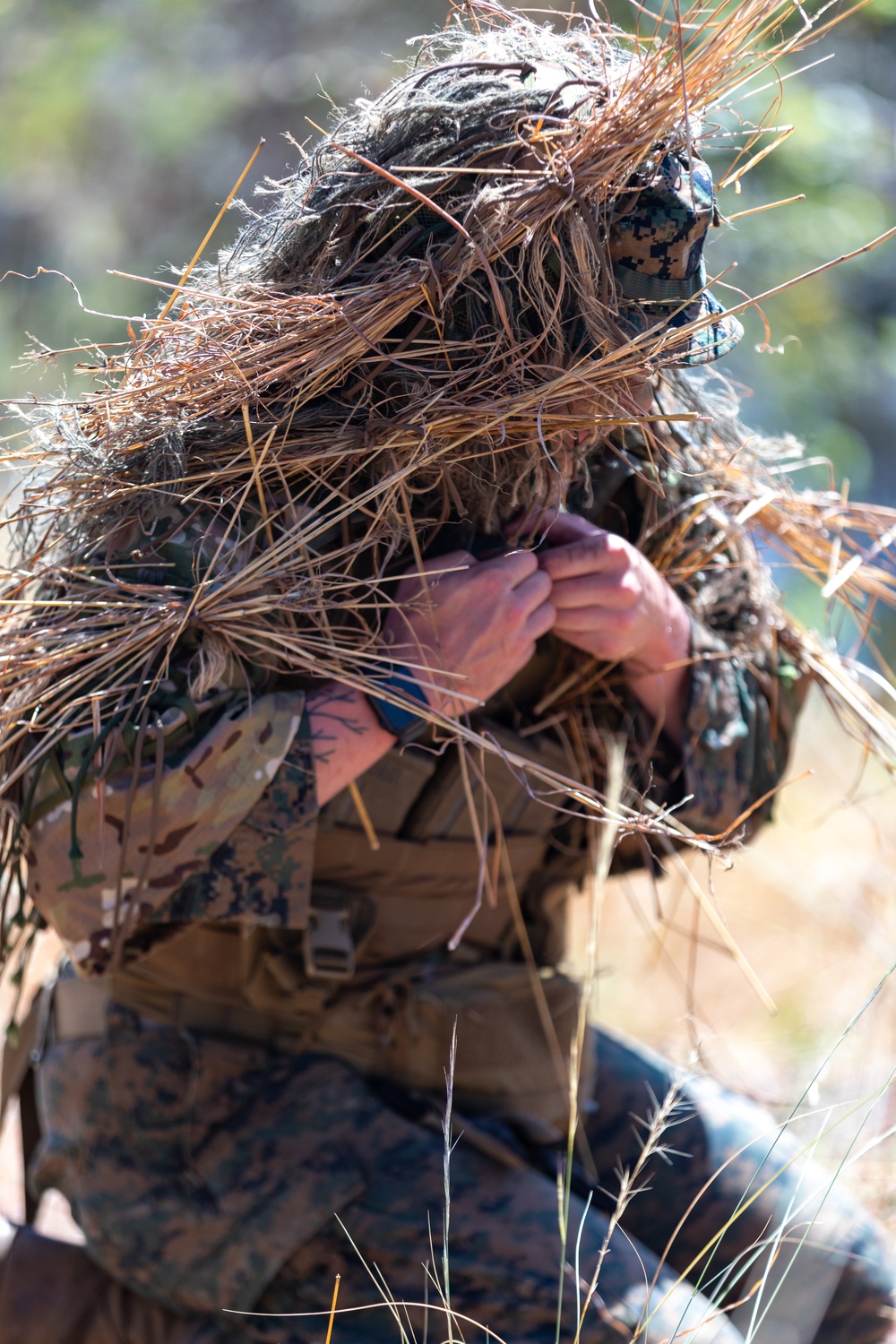 MRF-D 24.3: U.S. Marines, Australian Army Soldiers participate in live-fire stalking exercise