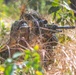 MRF-D 24.3: U.S. Marines, Australian Army Soldiers participate in live-fire stalking exercise