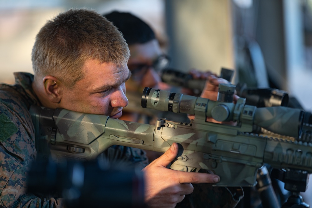 MRF-D 24.3: U.S. Marines, Australian Army Soldiers participate in live-fire stalking exercise