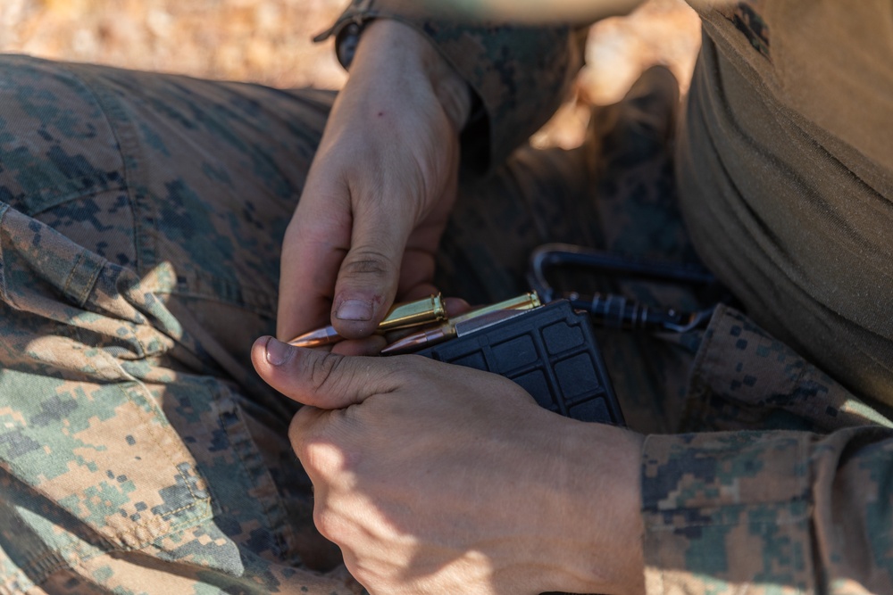 MRF-D 24.3: U.S. Marines, Australian Army Soldiers participate in live-fire stalking exercise