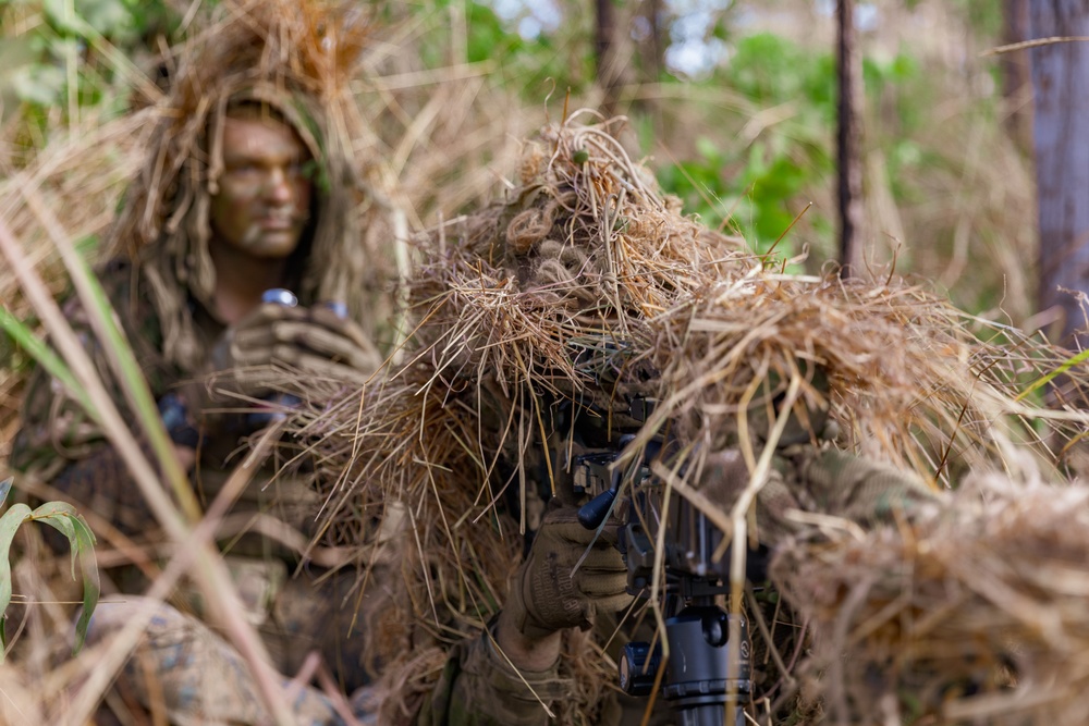 MRF-D 24.3: U.S. Marines, Australian Army Soldiers participate in live-fire stalking exercise