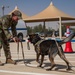 378 ESFS, RSAF SFS exchange best practices during training integration