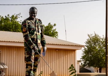 Netherlands, Senegal and US conduct combined arms rehearsal
