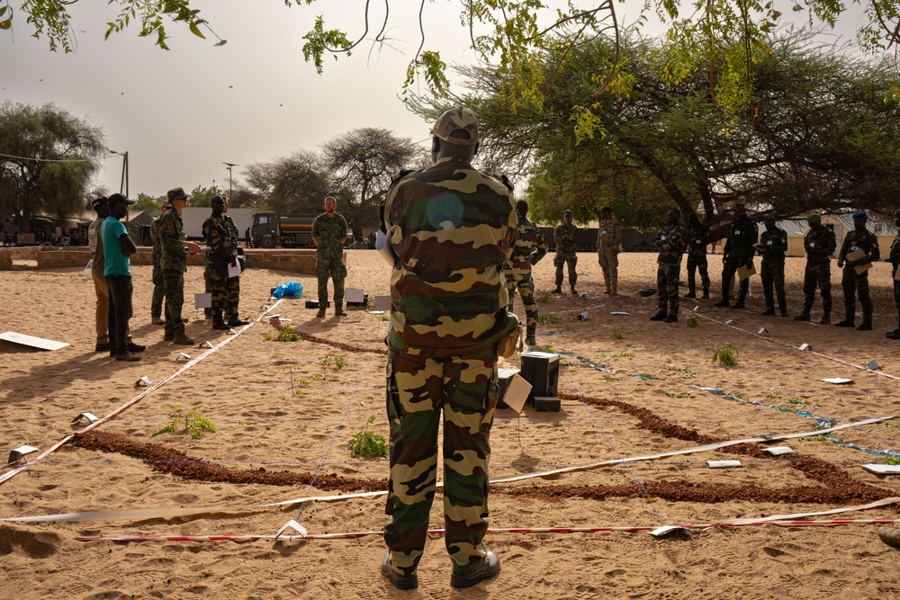 Netherlands, Senegal and US conduct combined arms rehearsal
