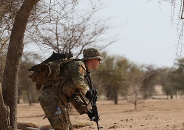 Netherlands, Senegal and US conduct African Lion 2024 culminating event