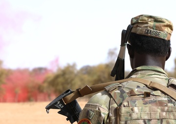 Netherlands, Senegal and US conduct African Lion 2024 culminating event