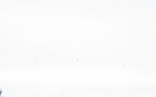 Combined Resolve 24-2 drone swarm attack