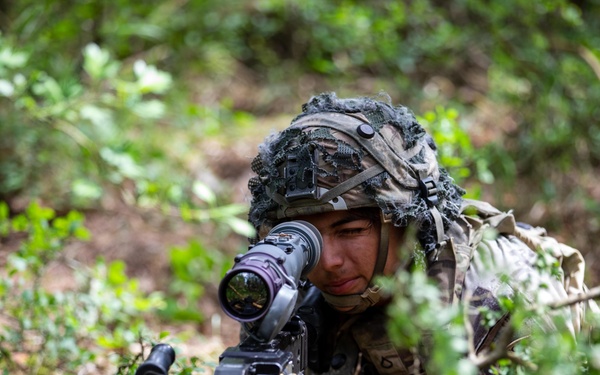 Combined Resolve 24-2 drone swarm attack