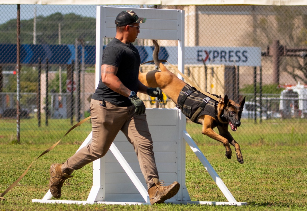 military working dog competition