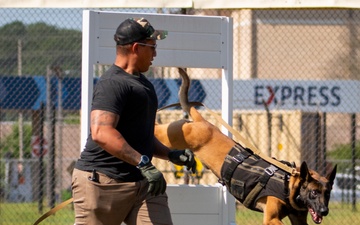 military working dog competition