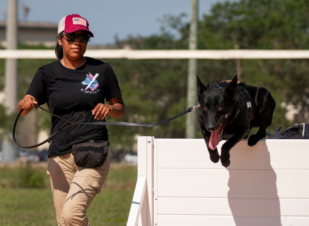 military working dog competition