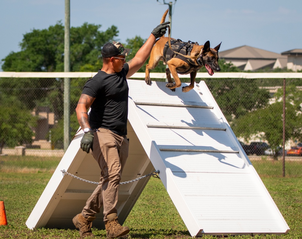 military working dog competition