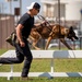 military working dog competition