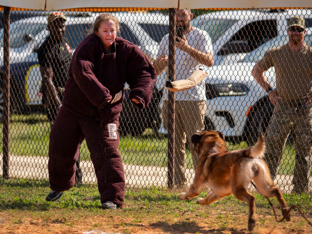 military working dog competition