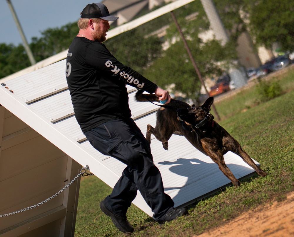 military working dog competition