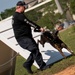 military working dog competition