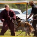 military working dog competition