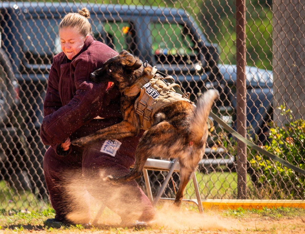 military working dog competition