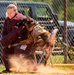 military working dog competition