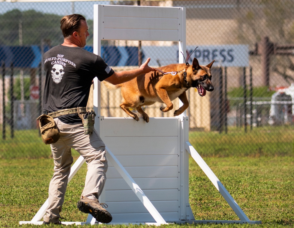 military working dog competition