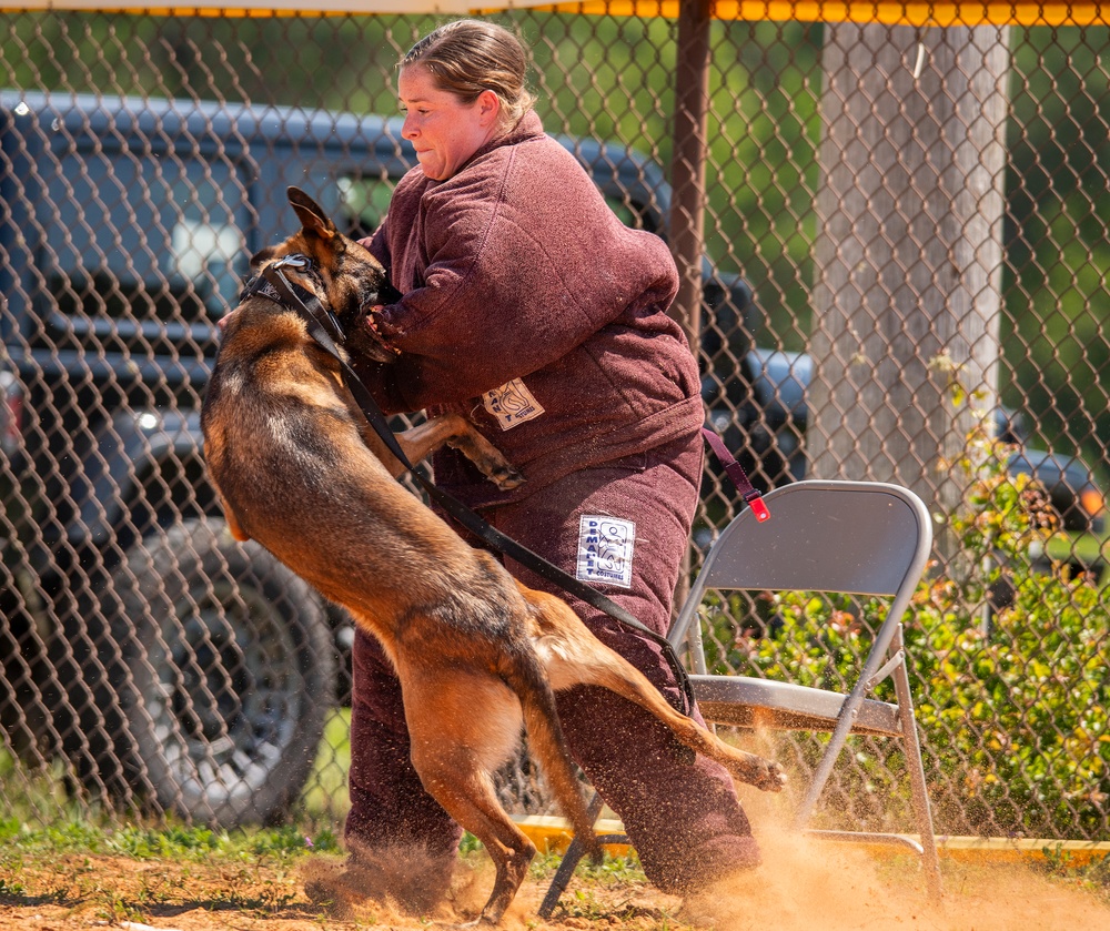 military working dog competition