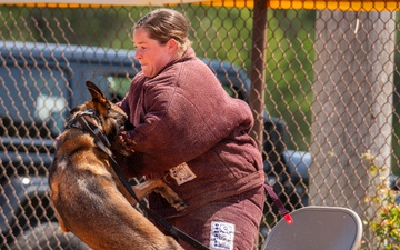 military working dog competition
