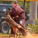 military working dog competition