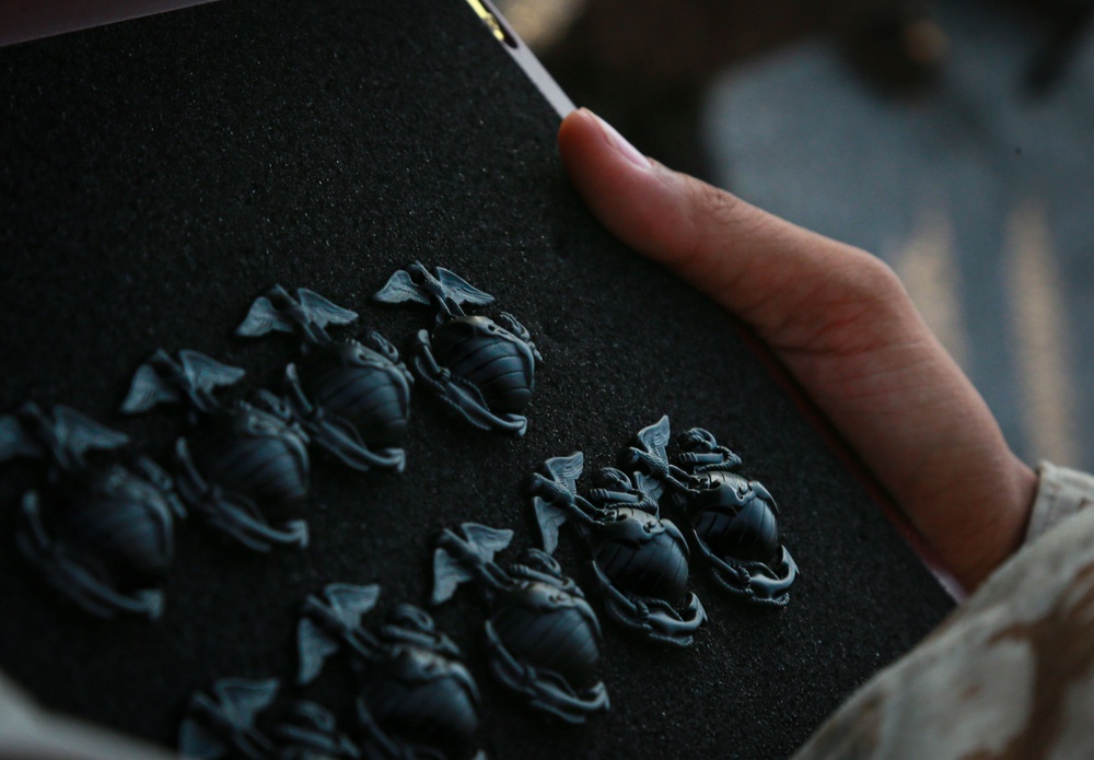 Mike Company Earns their EGA