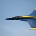 U.S. Navy Blue Angels perform at 2024 Bethpage Air Show