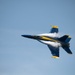 U.S. Navy Blue Angels perform at 2024 Bethpage Air Show