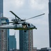 HSC-9 and EODGRU 2 perform a fast rope demo for fleet week