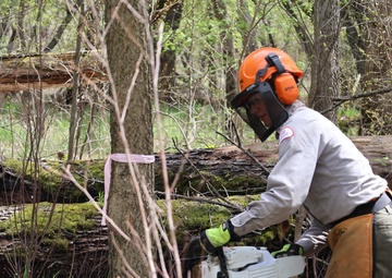 USACE partners with the University of Minnesota on ecosystem study